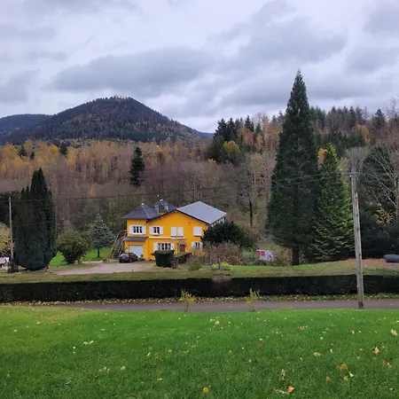 Gite Forestier Du Moulin Raon-sur-Plaine Exterior photo
