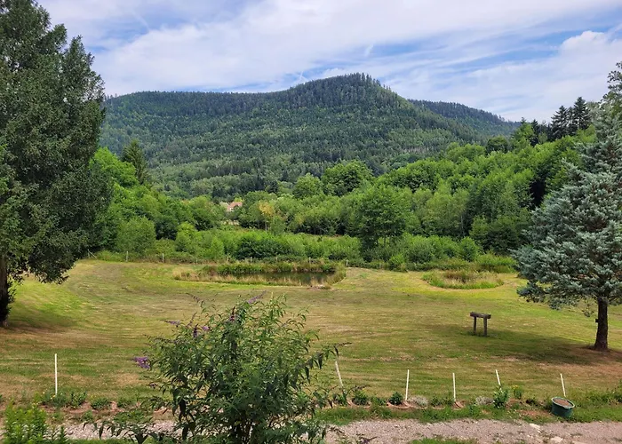 Gite Forestier Du Moulin