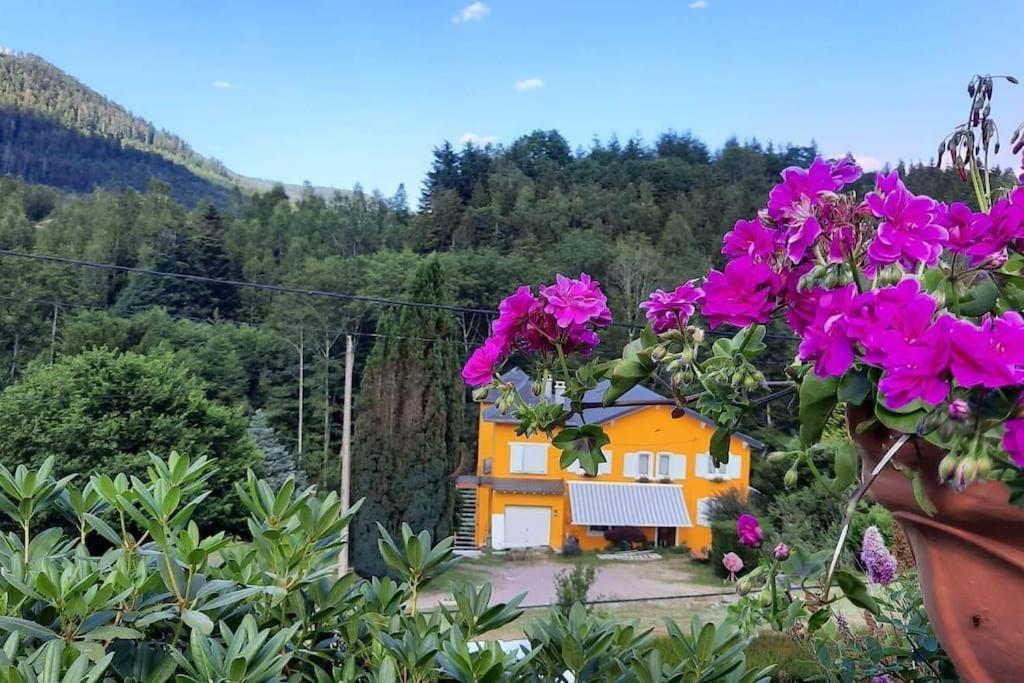 Apartment Forestier Du Moulin