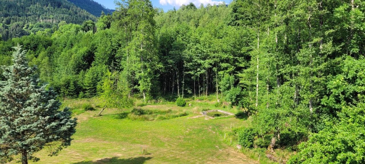 Forestier Du Moulin * Raon-sur-Plaine