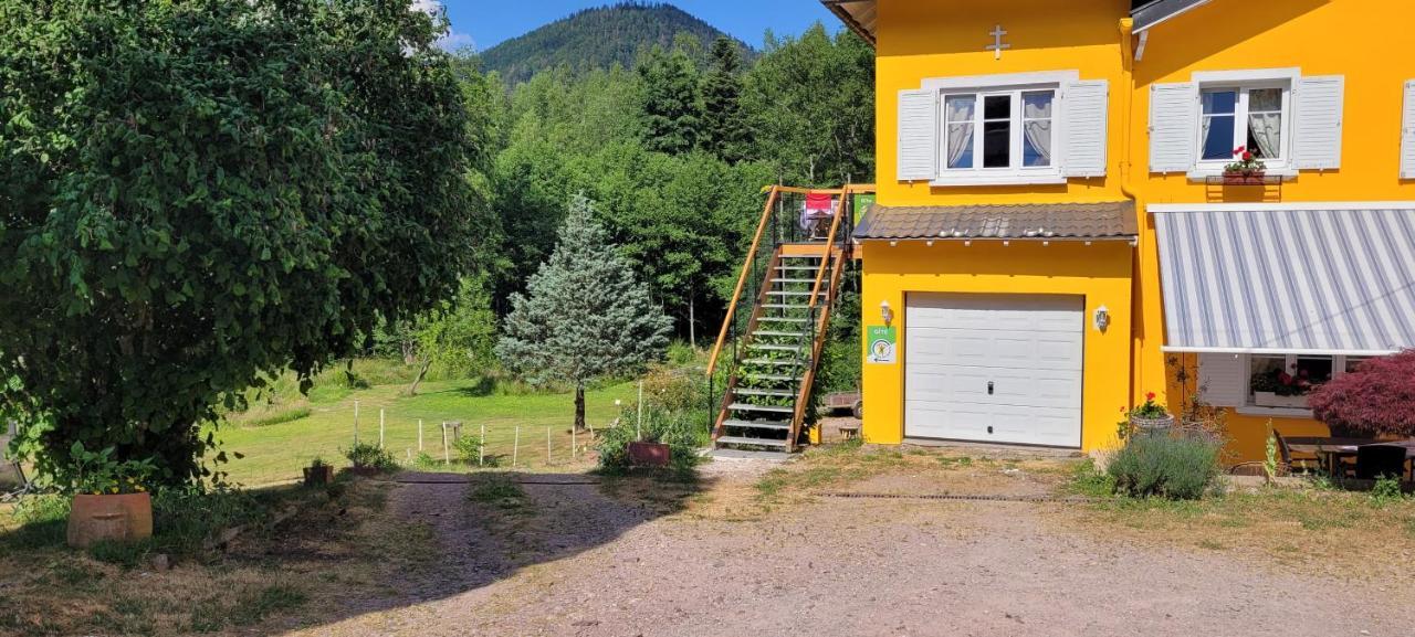 Apartment Forestier Du Moulin Raon-sur-Plaine