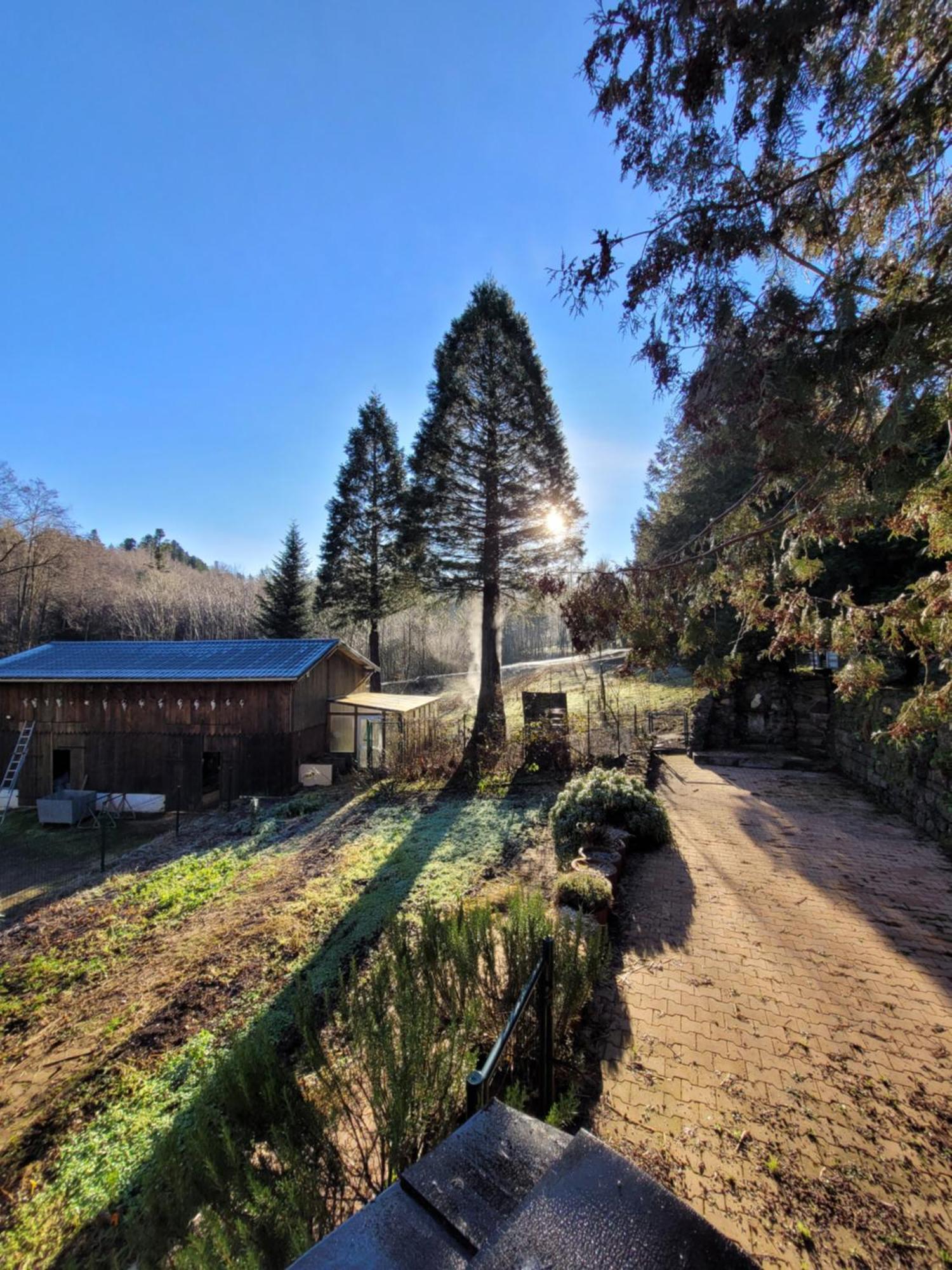 Apartment Forestier Du Moulin *
