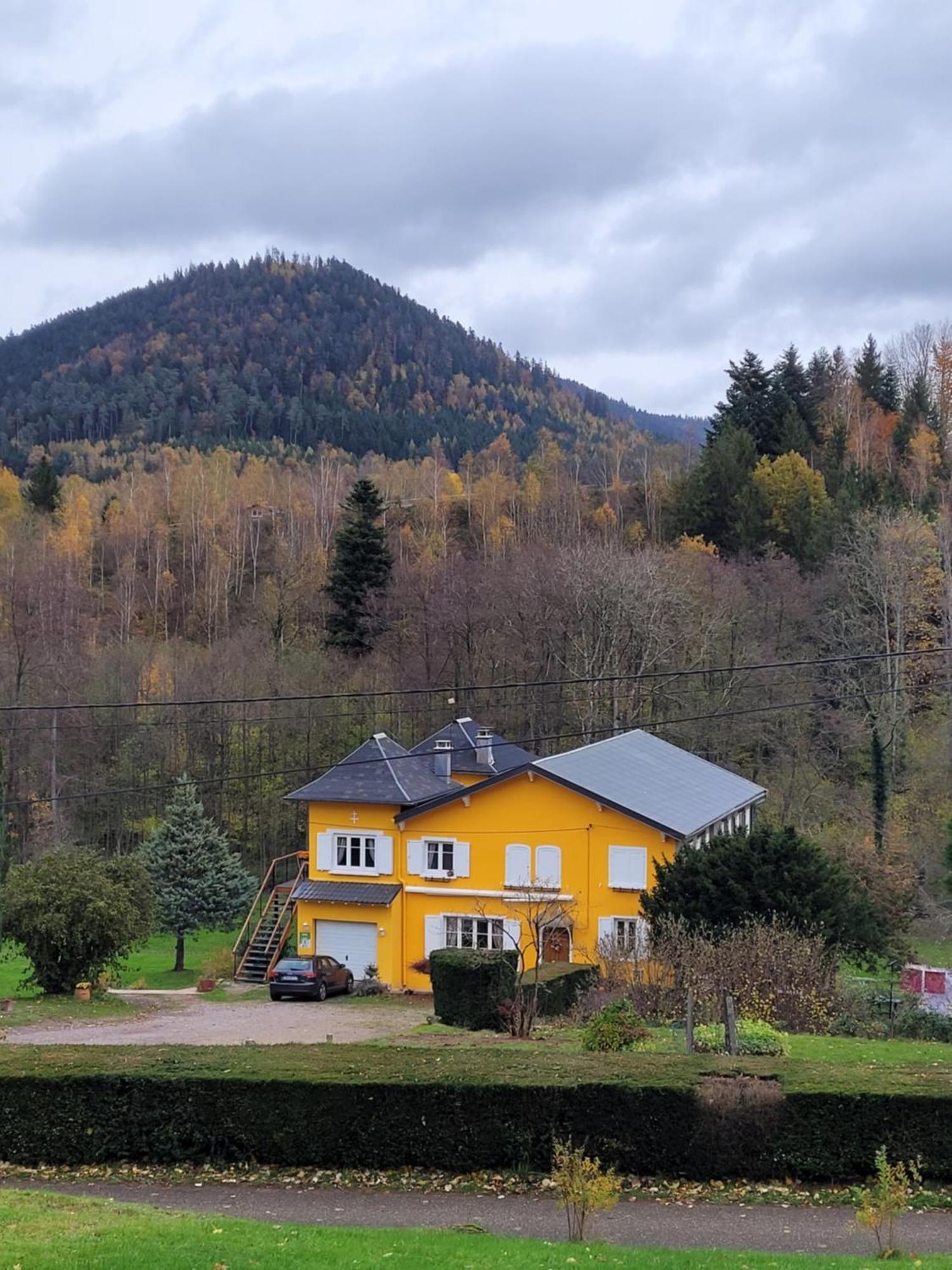 Forestier Du Moulin *