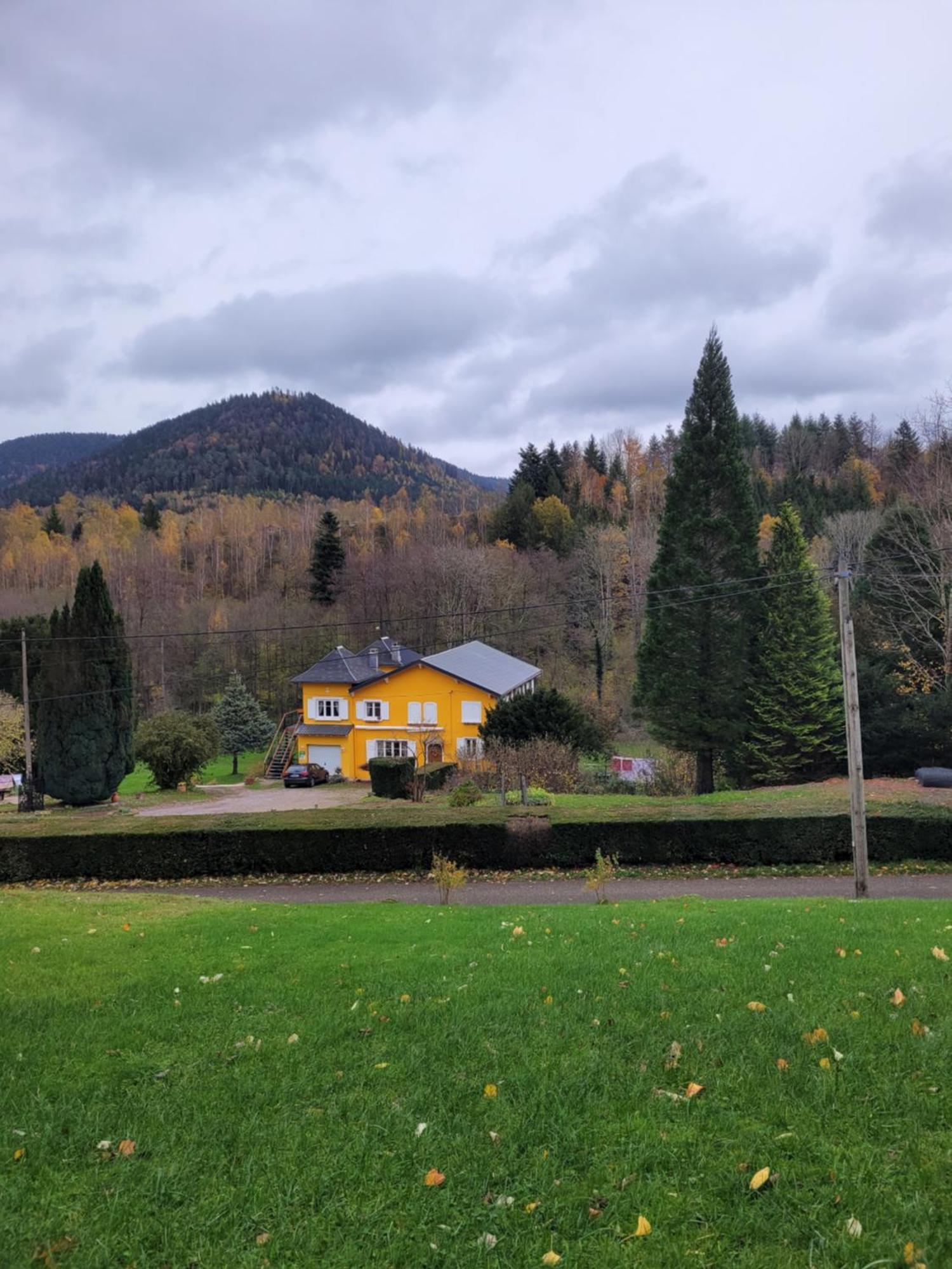 Forestier Du Moulin