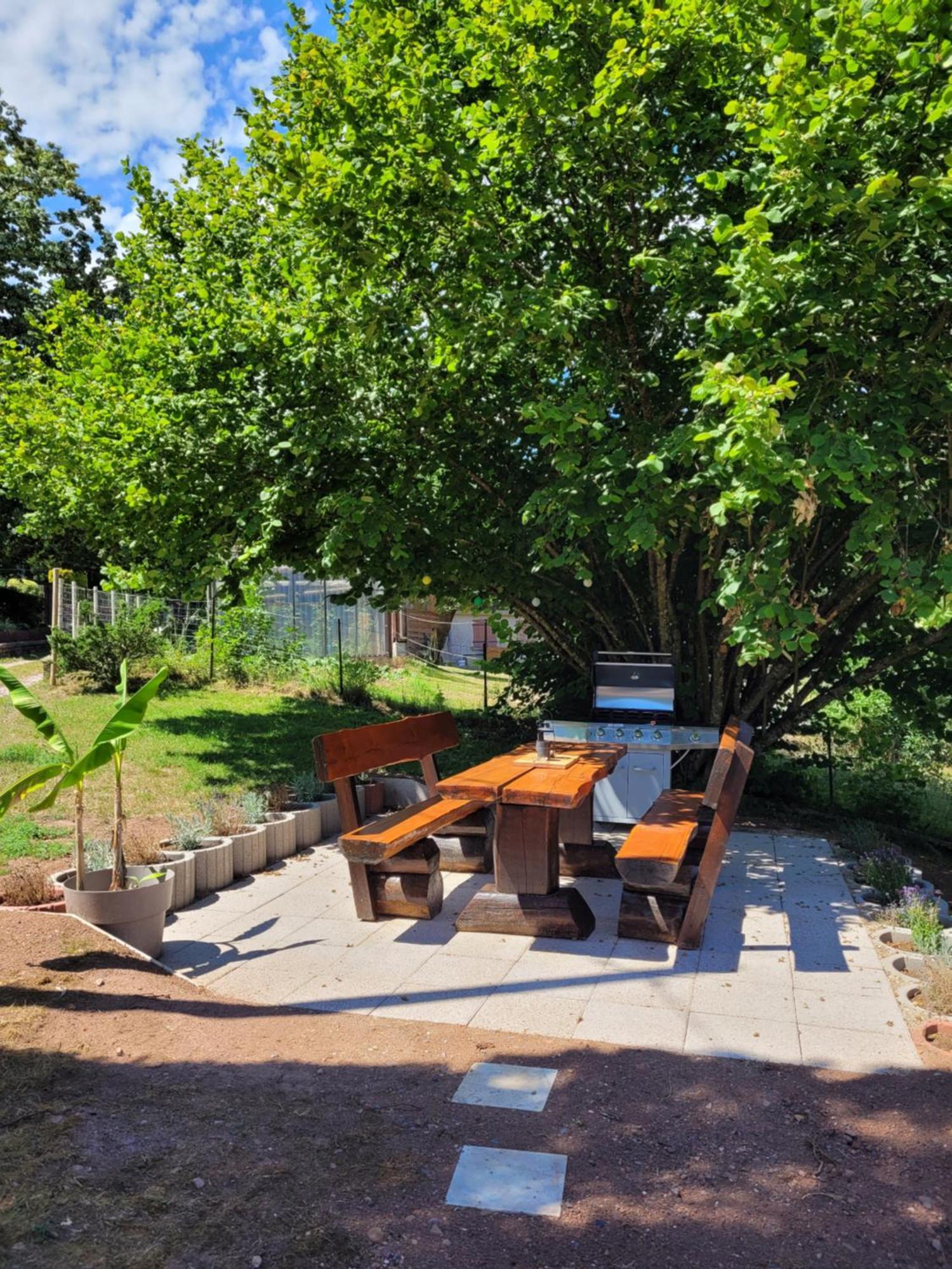 Forestier Du Moulin Apartment Raon-sur-Plaine