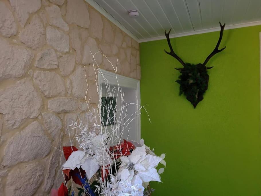 Apartment Forestier Du Moulin Raon-sur-Plaine