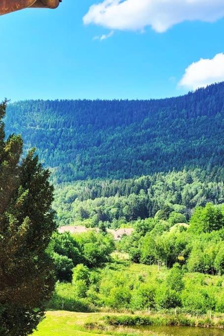 Forestier Du Moulin * Raon-sur-Plaine