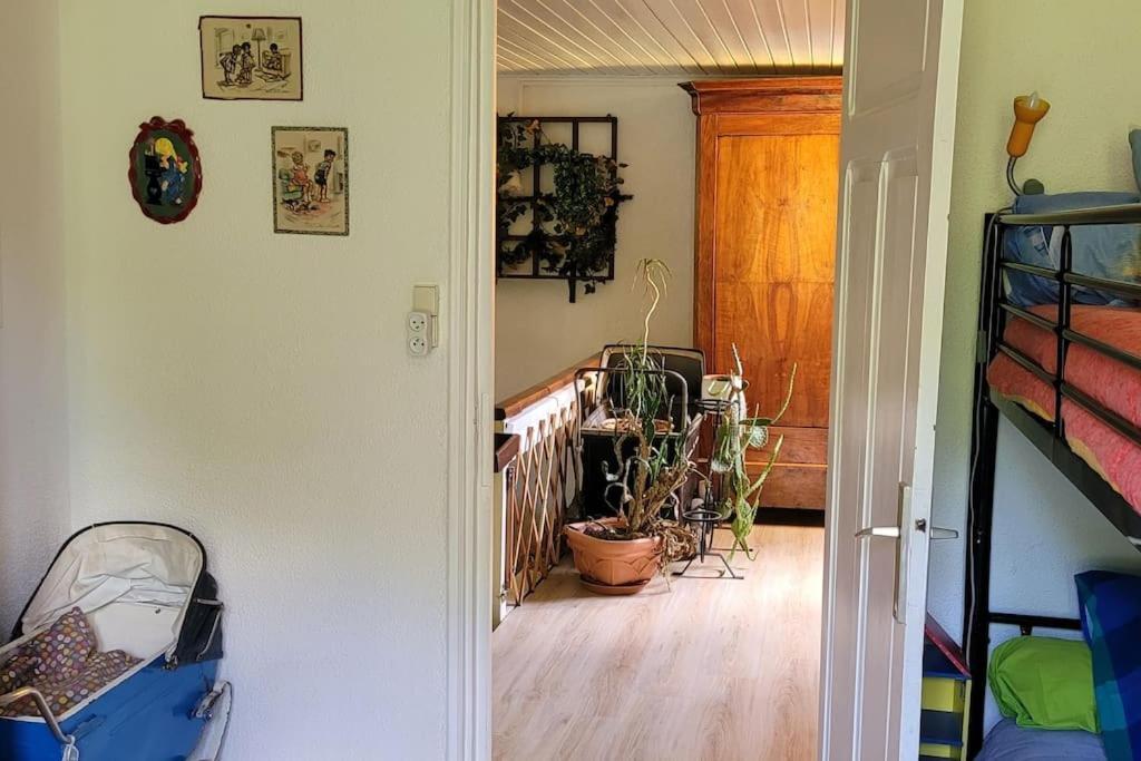 Forestier Du Moulin Apartment