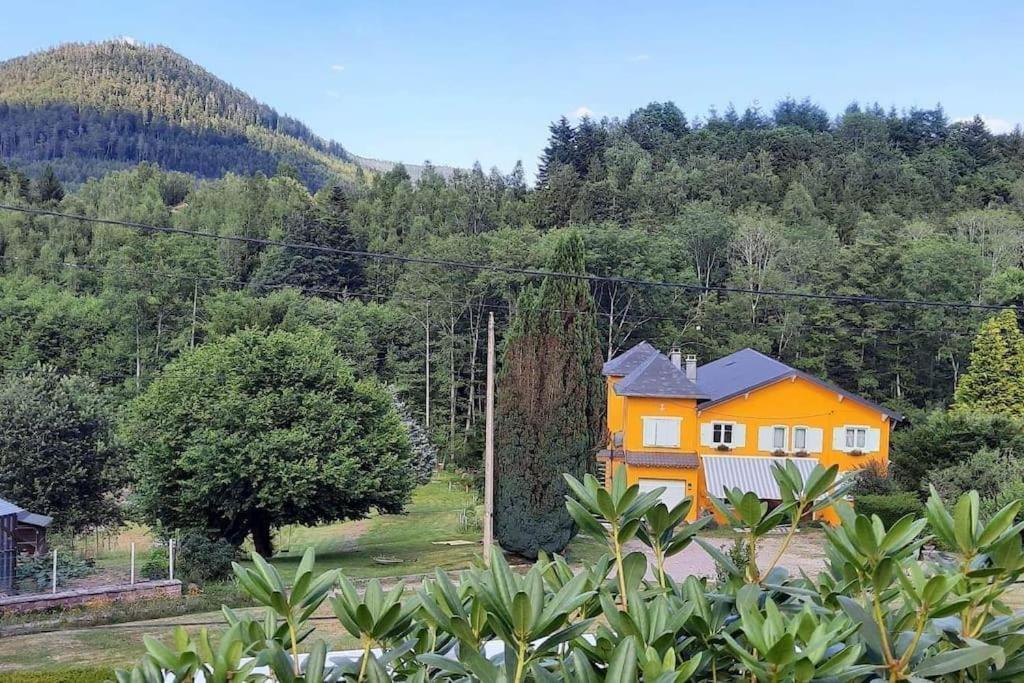 Forestier Du Moulin * Raon-sur-Plaine
