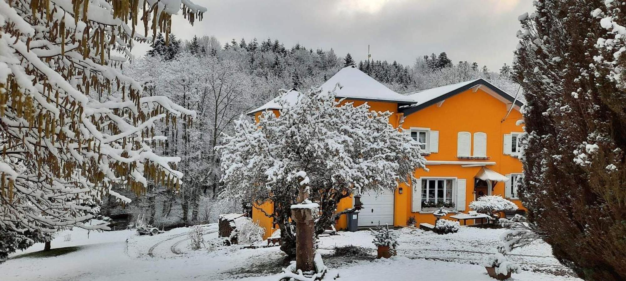 Forestier Du Moulin Apartment *