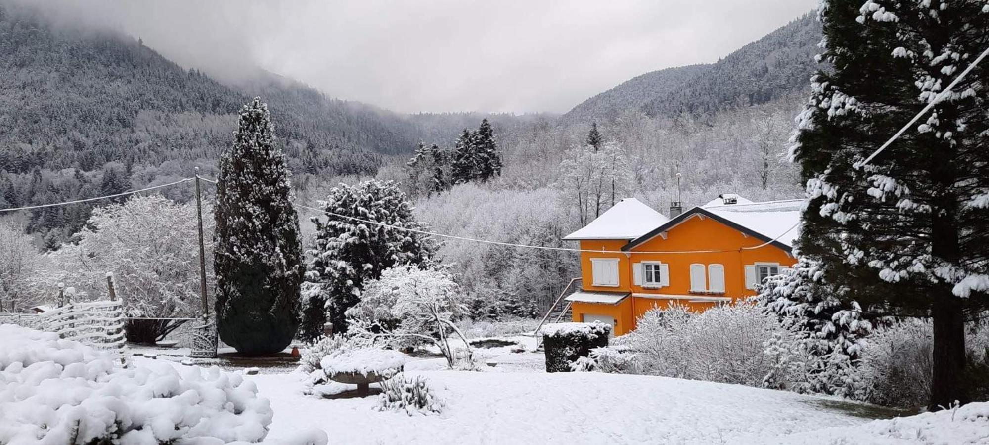 Forestier Du Moulin *